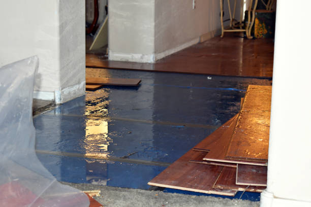 Professional Basement Water Removal technician working in Rainier, OR